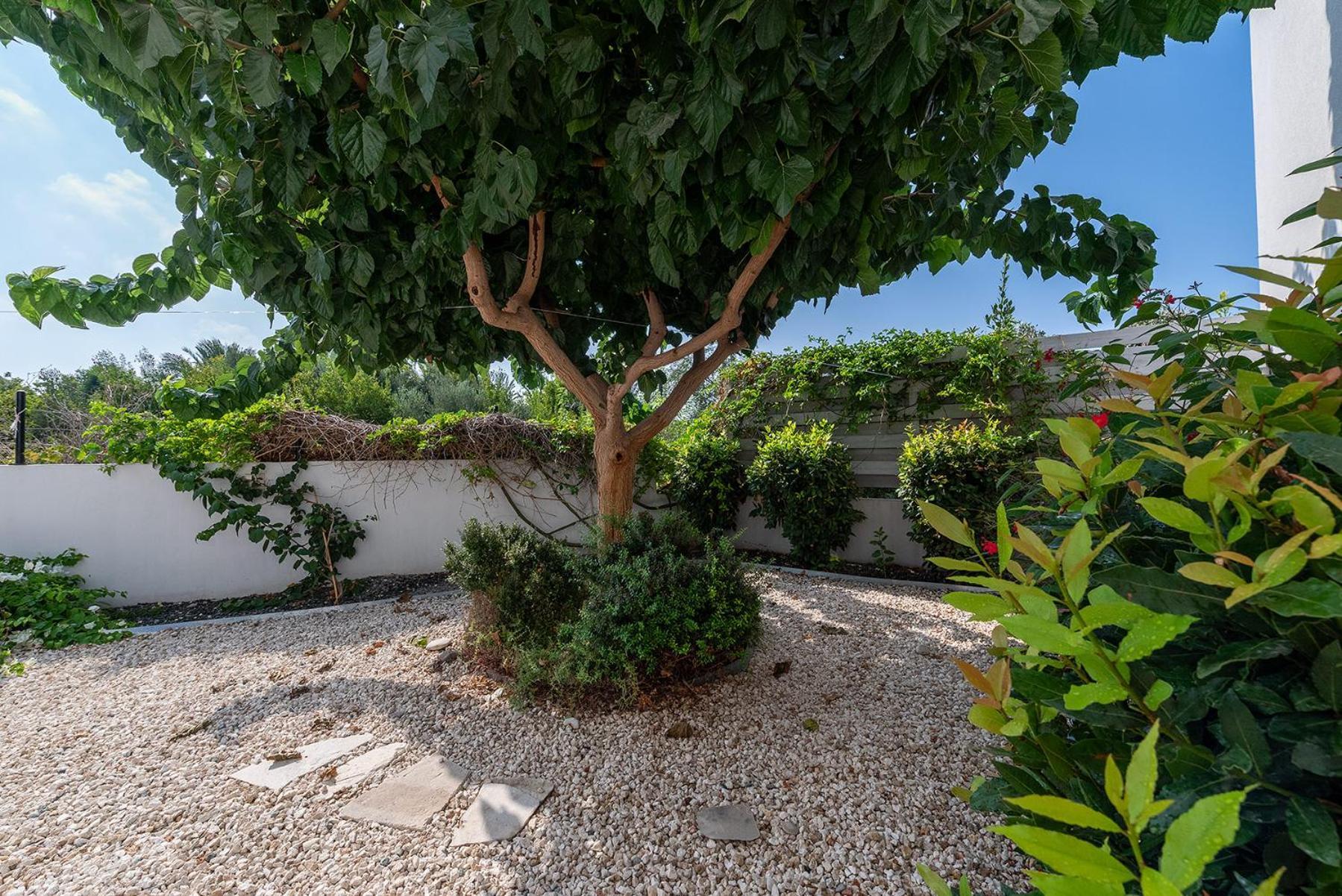 Blue Diamond Beach Villas Paphos 外观 照片